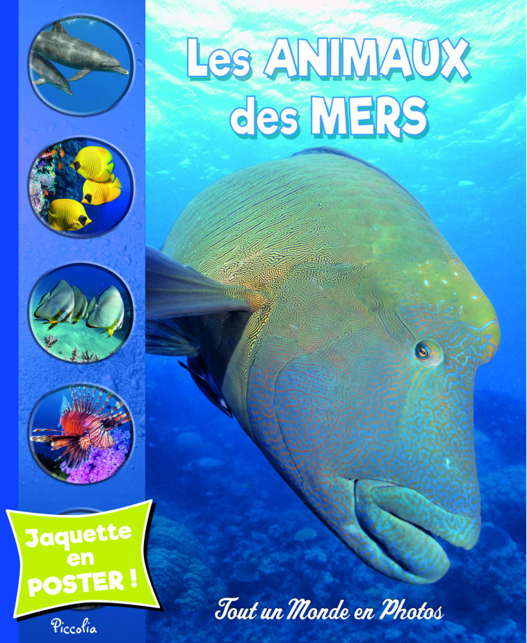 Les animaux des mers  -  Collectif - PICCOLIA