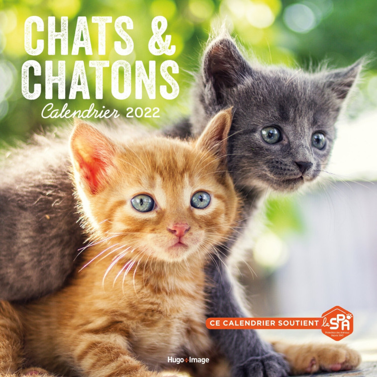 Calendrier Mural Chats et Chatons 2022 -   - HUGO IMAGE