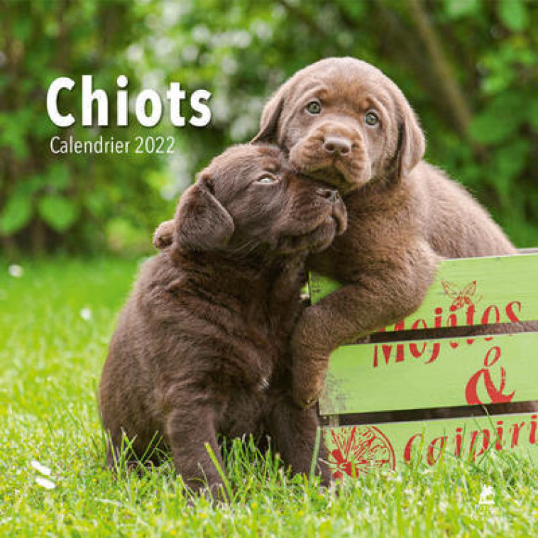 Chiots - Calendrier 2022 -  Collectif - PLACE VICTOIRES