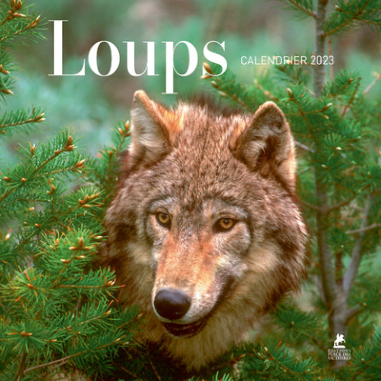 Loups - Calendrier 2023 -  Collectif - PLACE VICTOIRES