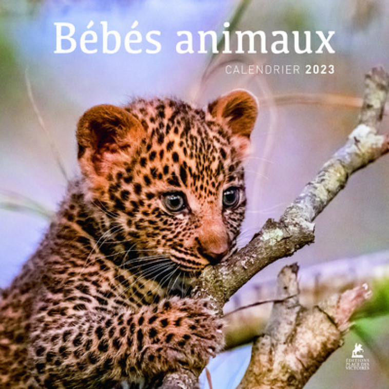 Bébés animaux - Calendrier 2023 -  Collectif - PLACE VICTOIRES