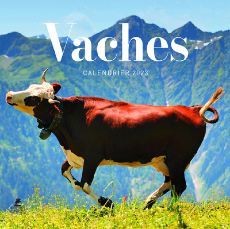 Vaches - Calendrier 2023 -  Collectif - PLACE VICTOIRES