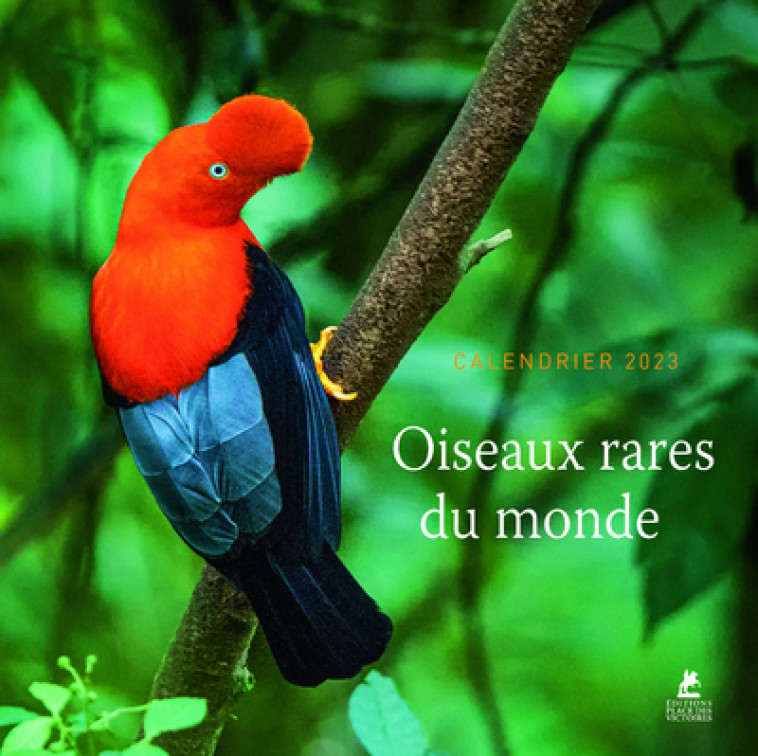 Oiseaux rares du monde - Calendrier 2023 -  Collectif - PLACE VICTOIRES