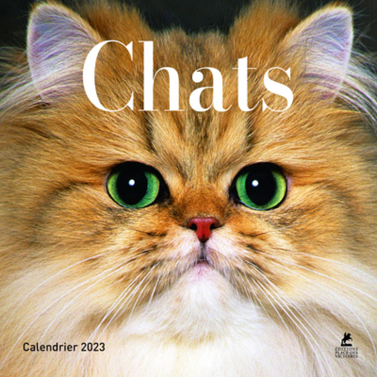 Calendrier Chats - Calendrier 2023 -  Collectif - PLACE VICTOIRES