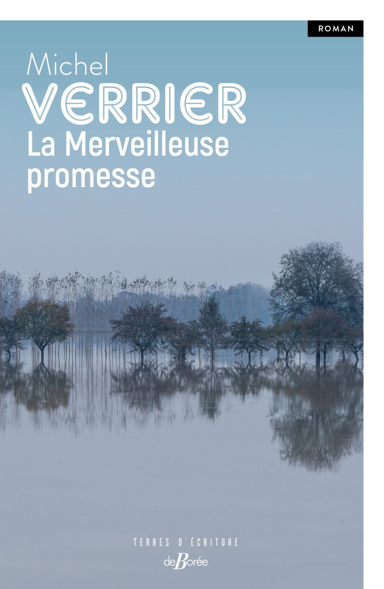 La merveilleuse promesse - Michel Verrier - DE BOREE