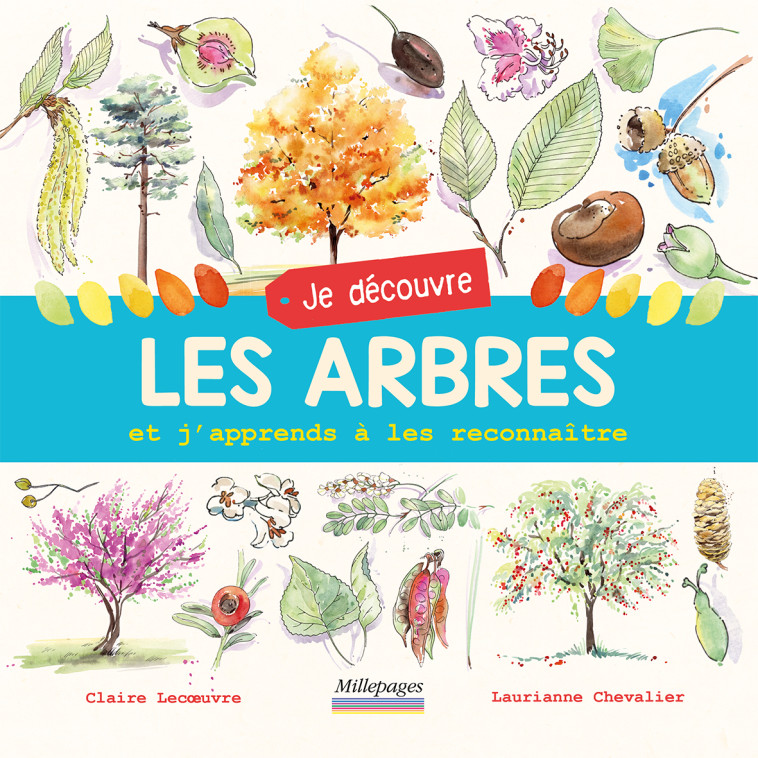 Je découvre les arbres -  Chevalier Laurianne - MILLEPAGES