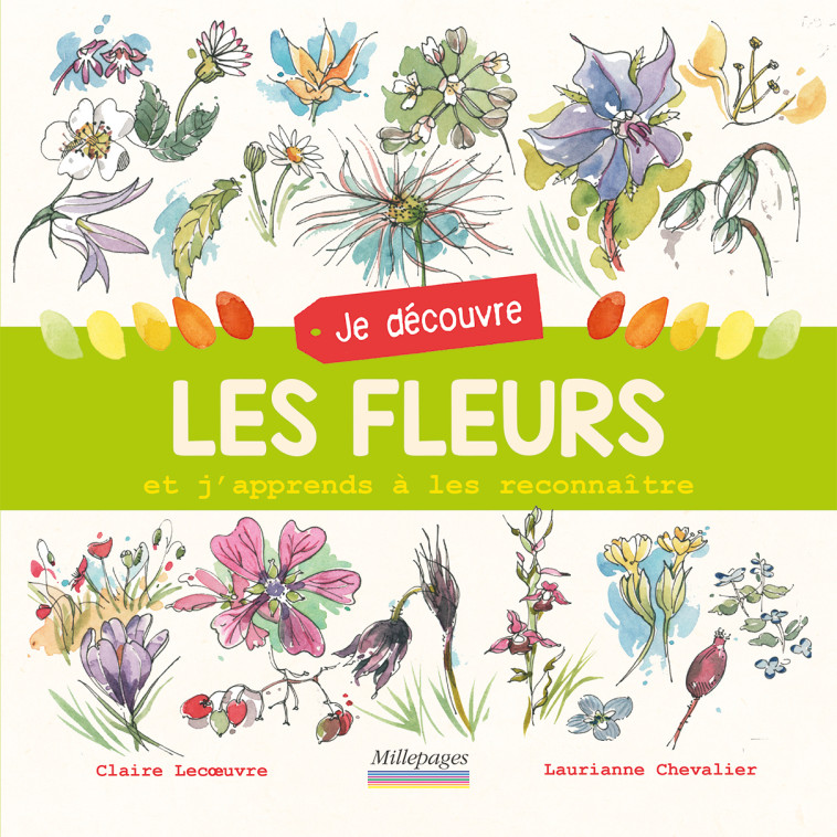 Je découvre les fleurs -  Chevalier Laurianne - MILLEPAGES