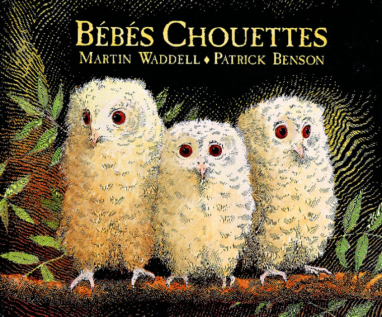 bebes chouettes - Martin WADELL - KALEIDOSCOPE