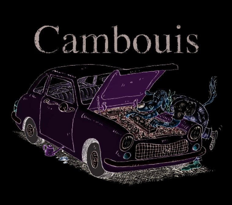 cambouis - GEOFFROY PENNART DE - KALEIDOSCOPE