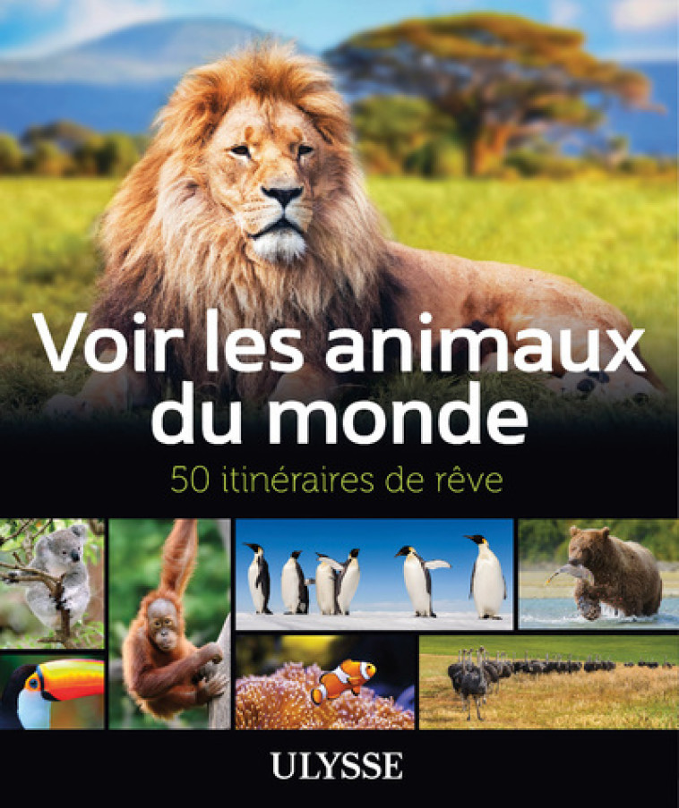 Voir les animaux du monde - 50 itinéraires de rêve -  Collectif - ULYSSE