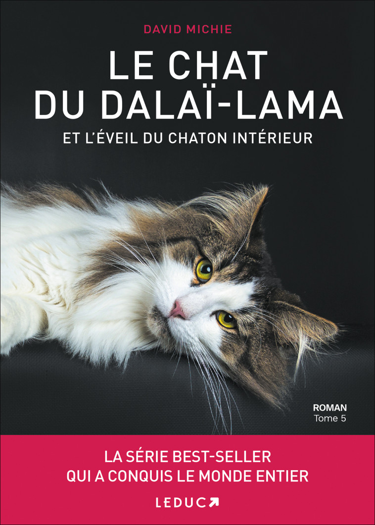 Le Chat du Dalai-Lama et l'éveil du chaton intérieur (tome 5) - David Michie - LEDUC