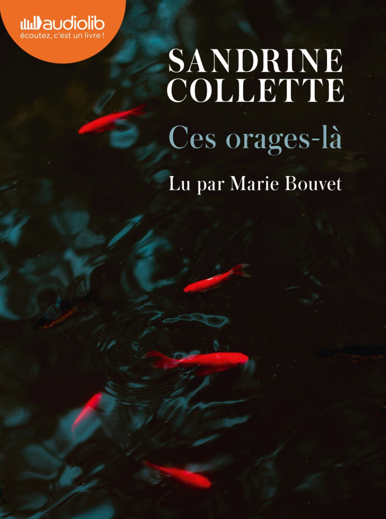 Ces orages-là - Sandrine Collette - AUDIOLIB