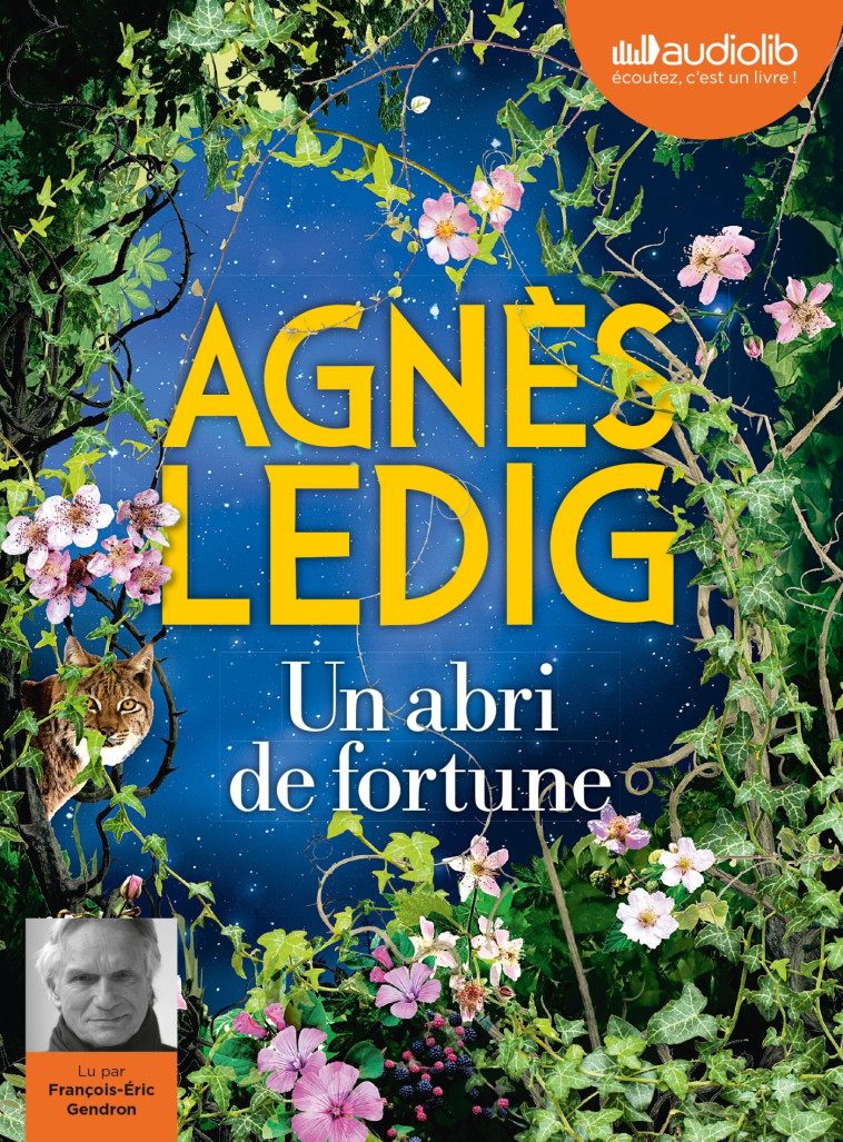 Un abri de fortune - Agnès Ledig - AUDIOLIB