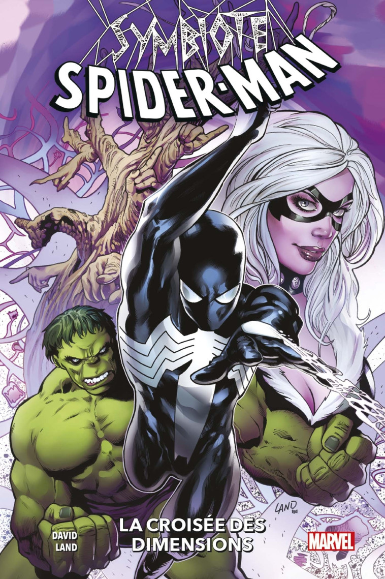 Symbiote Spider-Man : La croisée des dimensions - Peter David - PANINI