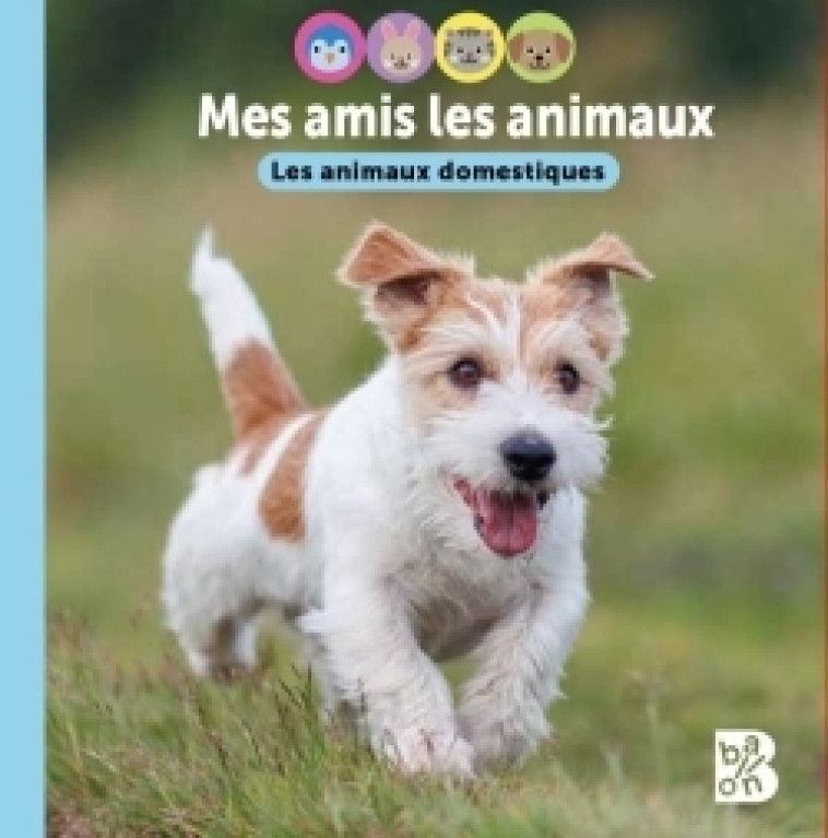 Les animaux domestiques -  - BALLON