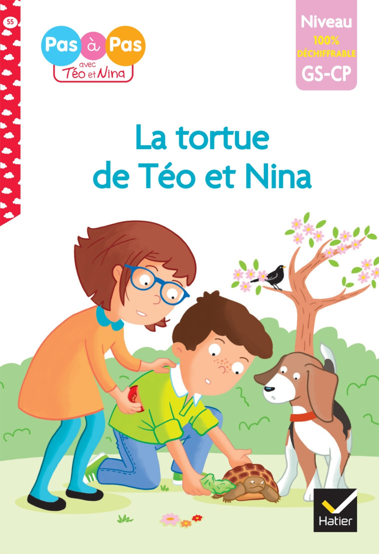 Téo et Nina - premières lectures 100% déchiffrable - La tortue de Téo et Nina - Isabelle Chavigny - HATIER