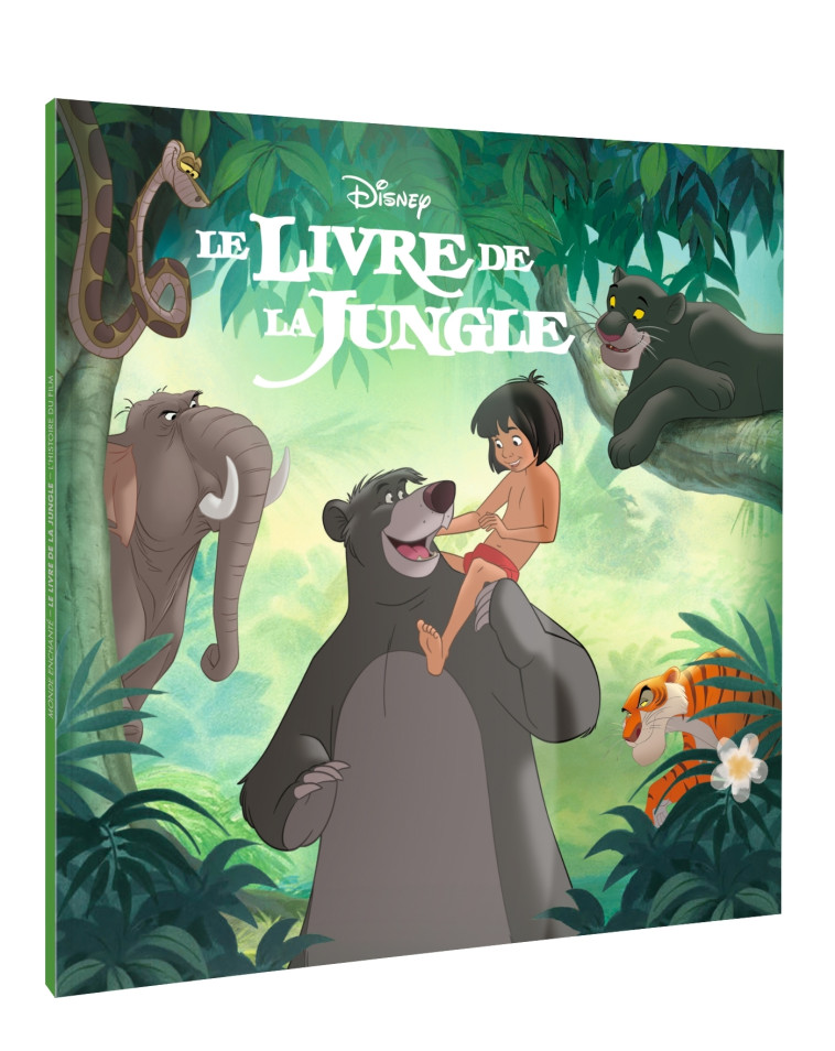 LE LIVRE DE LA JUNGLE - Monde Enchanté -  L'histoire du film - Disney -  - DISNEY HACHETTE