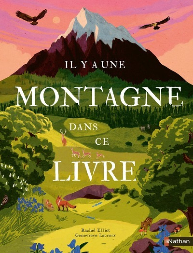 Il y a une montagne dans ce livre - Rachel Elliot - NATHAN