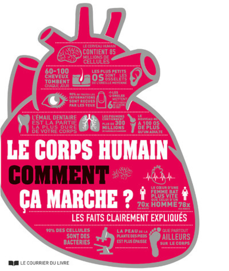 Le corps humain comment ça marche ? - Virginia Smith - COURRIER LIVRE