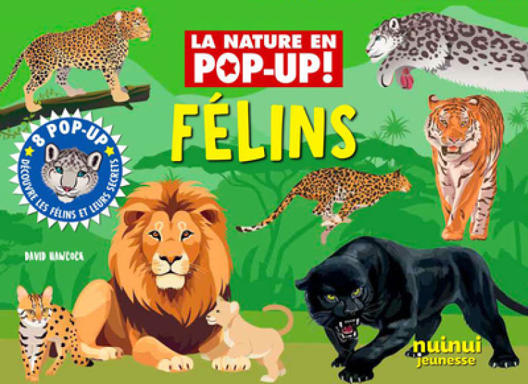 La nature en pop up - Félins - David Hawcock - NUINUI JEUNESSE