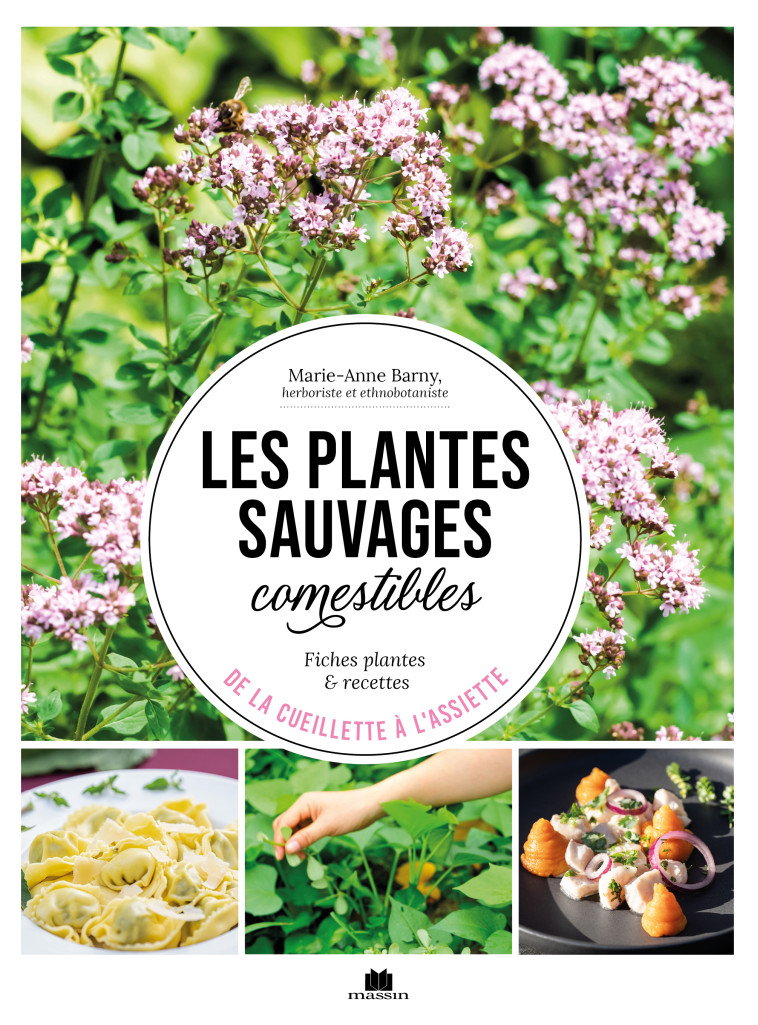 Les plantes sauvages comestibles - Marie-Anne Barny - CHARLES MASSIN