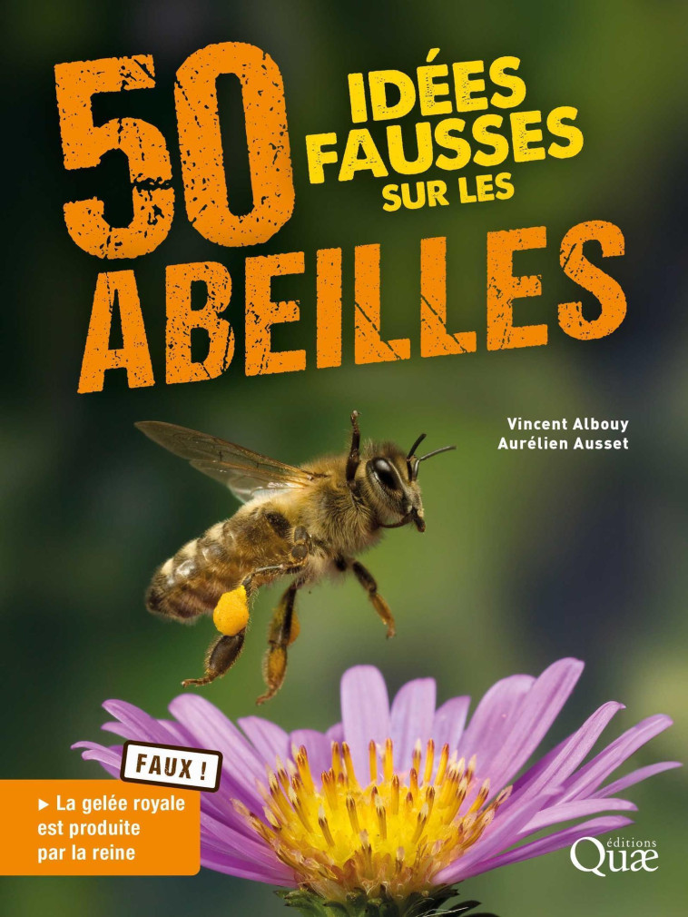 50 idées fausses sur les abeilles - Aurélien Ausset - QUAE