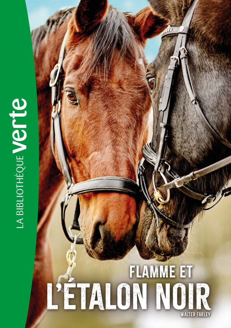 L'Etalon noir NED 17 - Flamme et l'Etalon noir - Walter Farley - HACHETTE JEUN.