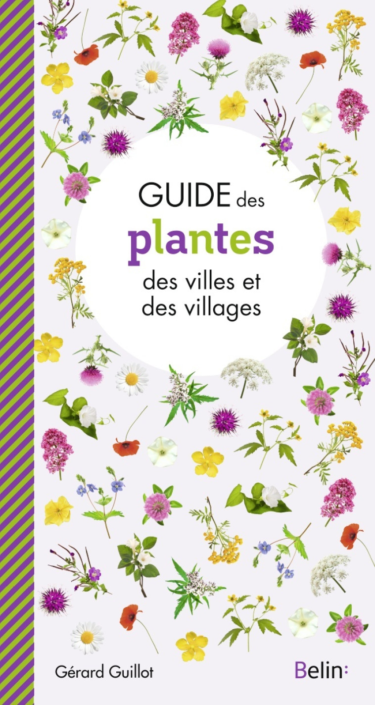 Guide des plantes des villes et villages - Gérard Guillot, Guillaume Eyssartier, Gérard Guillot, Guillaume Eyssartier - BELIN