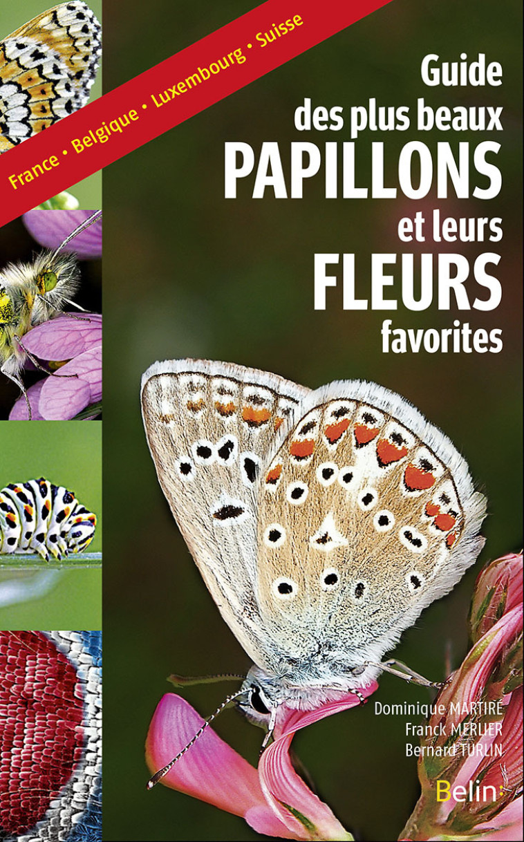 Guide des plus beaux papillons et leurs fleurs favorites - Bernard Turlin, Dominique Martiré, Franck Merlier - BELIN