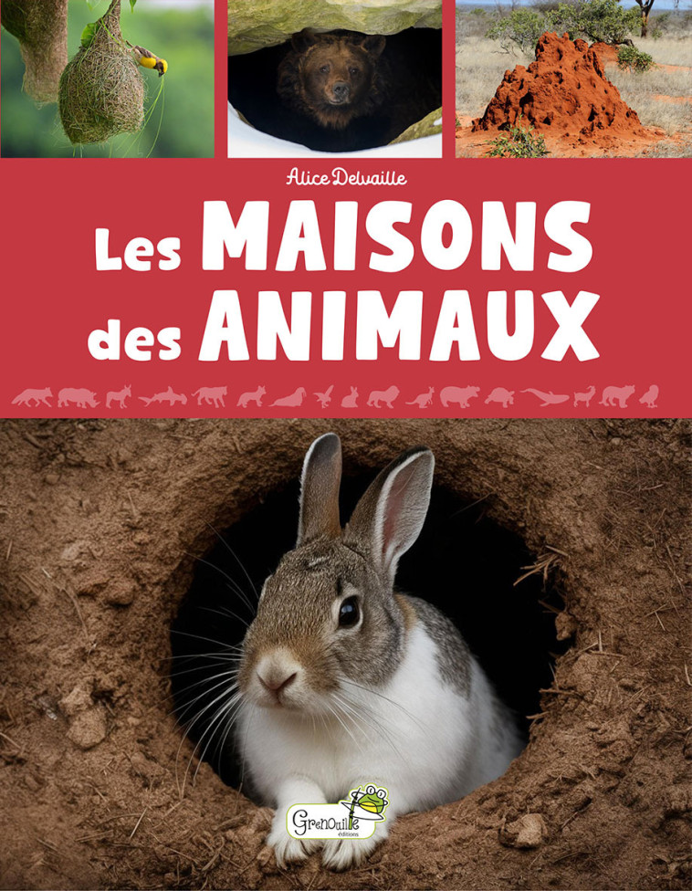 Les maisons des animaux - Alice Delvaille,  A. DELVAILLE,  A. DELVAILLE, Alice Delvaille - GRENOUILLE