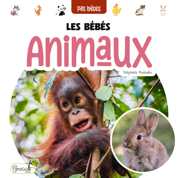 Les bébés animaux - Stéphanie Redoulès,  S. REDOULES,  S. REDOULES, Stéphanie Redoulès - GRENOUILLE