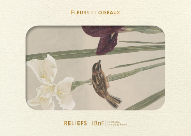 Livre d’images - Fleurs et oiseaux -   - RELIEFS