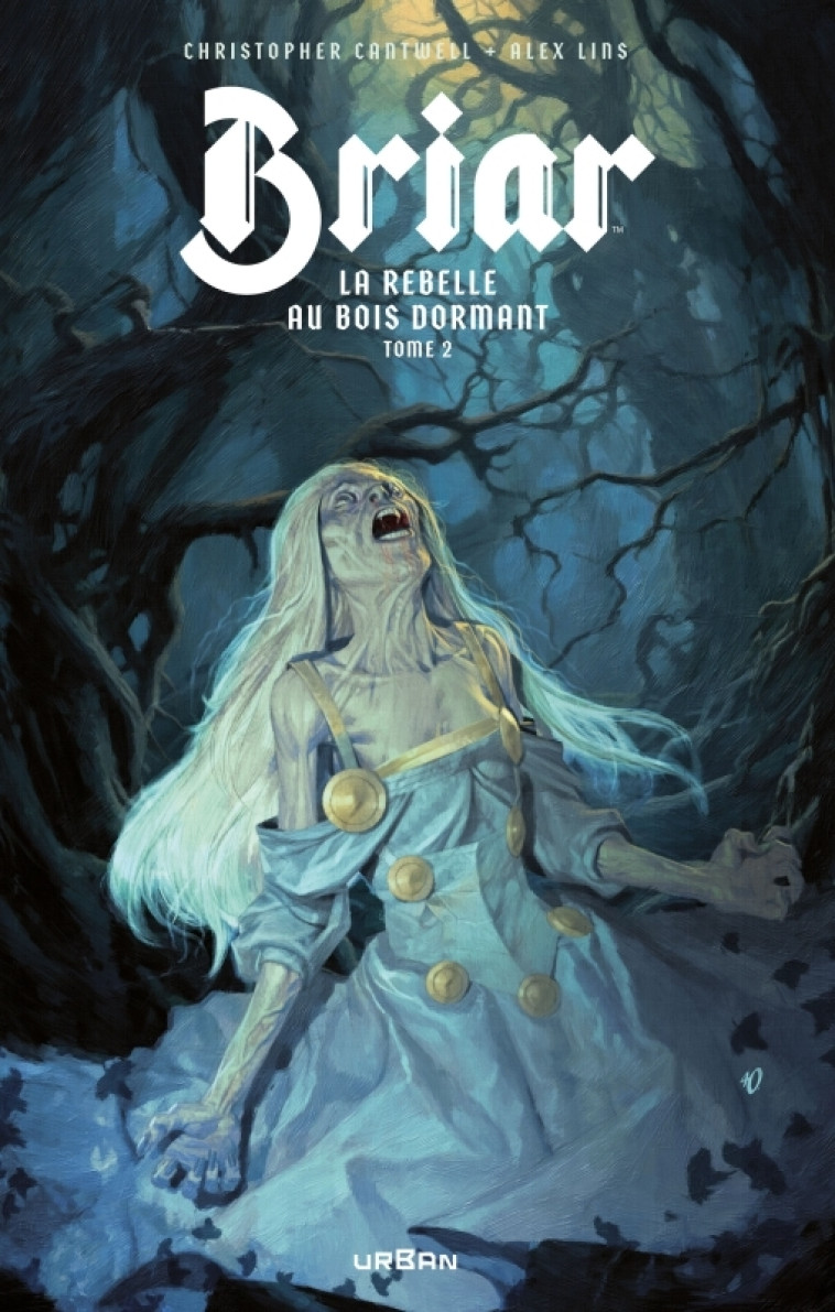 Briar, La Rebelle au bois dormant tome 2 -  CANTWELL Christopher,  Lins Alex - URBAN COMICS
