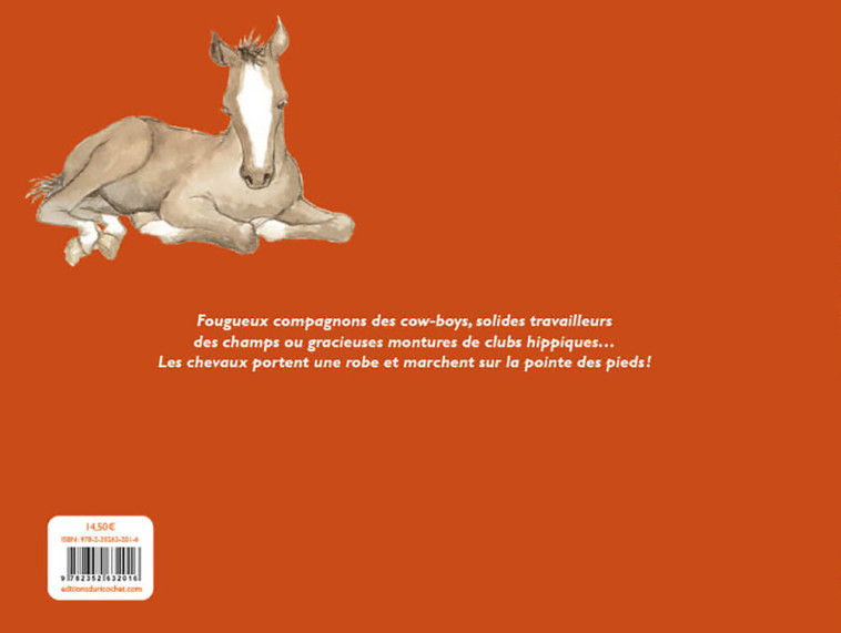 Un Cheval des chevaux - Françoise Laurent, Capucine Mazille, Françoise Laurent, Capucine Mazille - RICOCHET