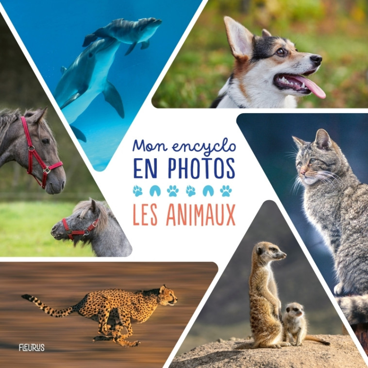Mon encyclo en photos - Animaux -  Collectif - FLEURUS