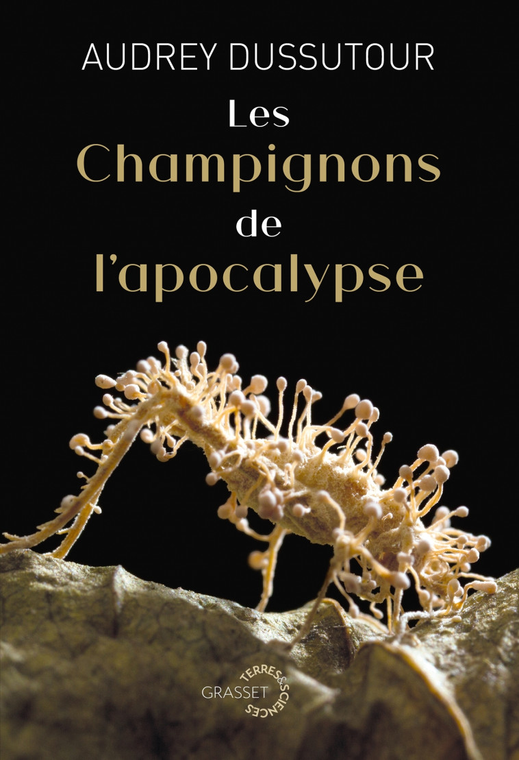 Les champignons de l'apocalypse - DUSSUTOUR AUDREY - GRASSET
