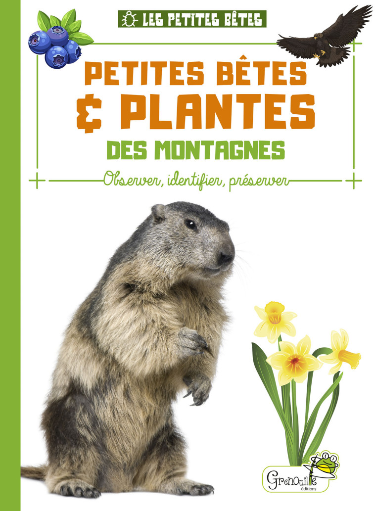 PETITES BETES ET PLANTES DES MONTAGNES - Alice Delvaille - GRENOUILLE